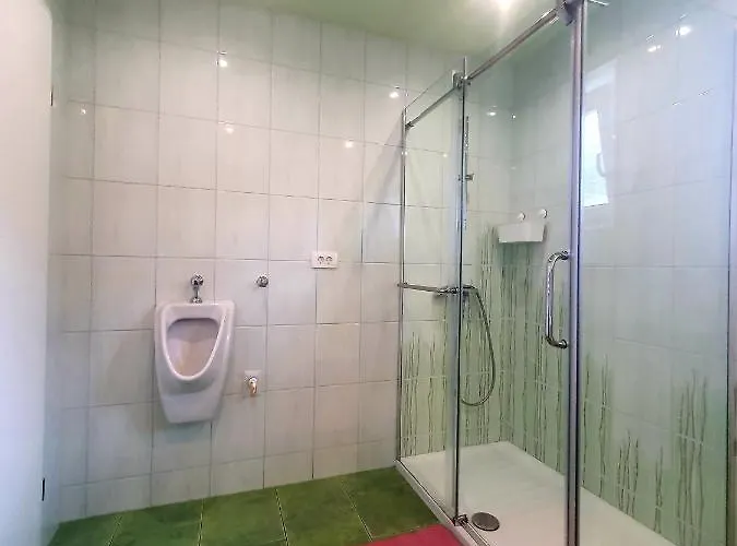 Appartement Apartma David *