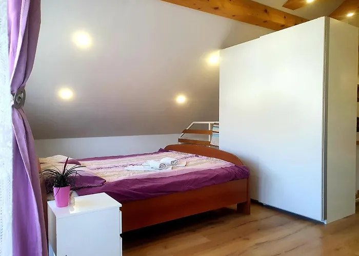 Appartamento Apartma David